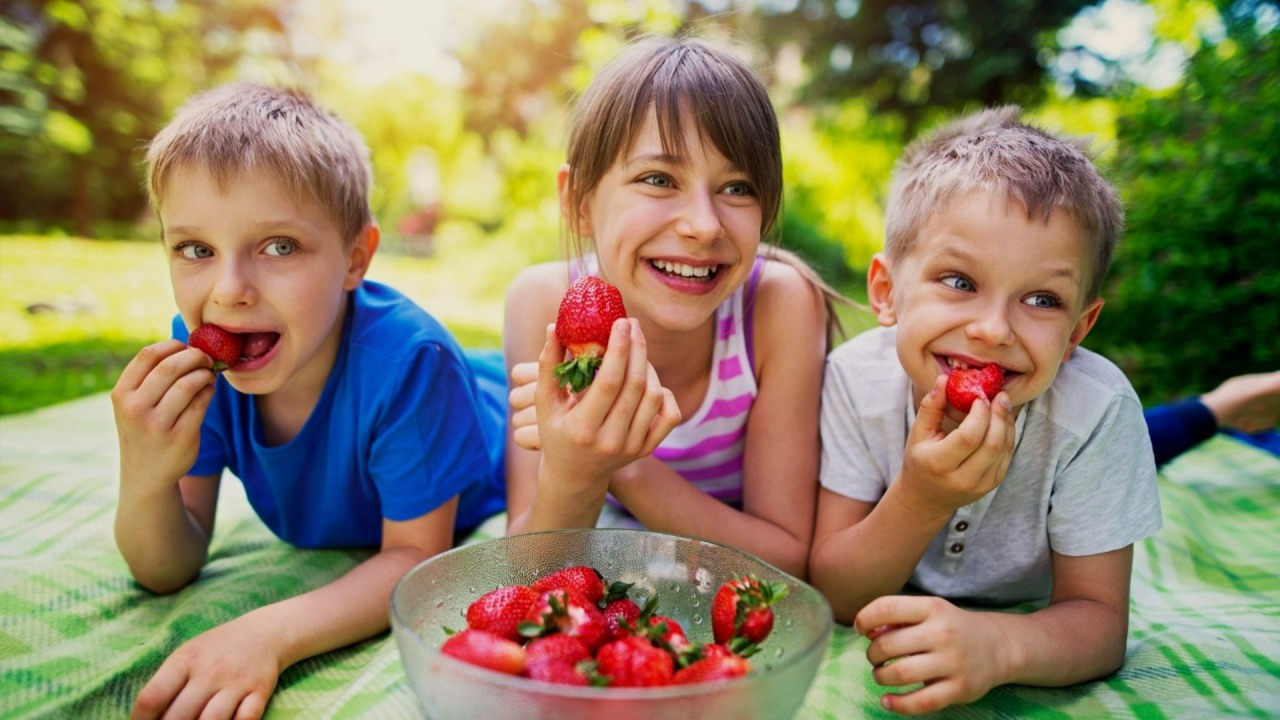Fundacja ORLEN. Troje dzieci leży na kocu w ogrodzie i je truskawki z miski.